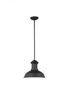 Fredricksburg traditional 1-light outdoor exterior Dark Sky compliant ceiling hanging pendant in bla (38|6247701-12)