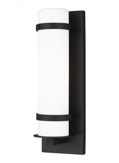Alban Small One Light Outdoor Wall Lantern (38|8518301EN3-12)