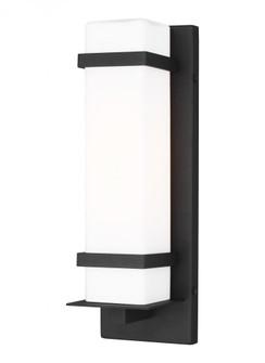 Alban Small One Light Outdoor Wall Lantern (38|8520701EN3-12)
