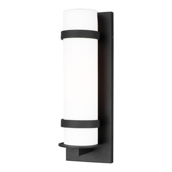 Alban modern 1-light outdoor exterior medium round wall lantern in black finish with etched opal gla (38|8618301-12)