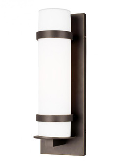 Alban modern 1-light outdoor exterior medium round wall lantern in antique bronze finish with etched (38|8618301-71)