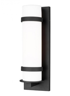 Alban Medium One Light Outdoor Wall Lantern (38|8618301EN3-12)
