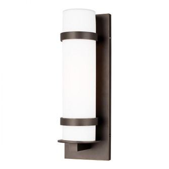 Alban modern 1-light LED outdoor exterior medium round wall lantern sconce in antique bronze finish (38|8618301EN3-71)