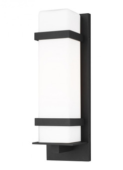 Alban Medium One Light Outdoor Wall Lantern (38|8620701-12)