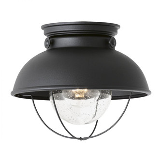 Sebring transitional 1-light LED outdoor exterior ceiling flush mount in black finish with clear see (38|8869EN3-12)