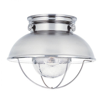 Sebring transitional 1-light LED outdoor exterior ceiling flush mount in brushed stainless silver fi (38|8869EN3-98)