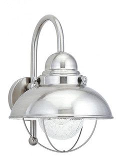 Sebring transitional 1-light LED outdoor exterior large wall lantern sconce in brushed stainless sil (38|8871EN3-98)