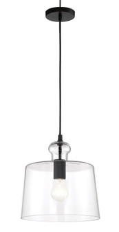 Clarity - 1 Light Pendant (10|2335-66A)