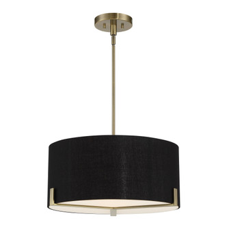 Westboro Boulevard - 3 Light Pendant (10|2153-724)