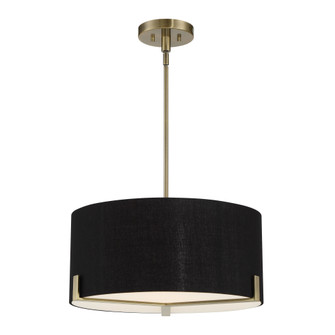 Westboro Boulevard - 3 Light Pendant (10|2153-724)