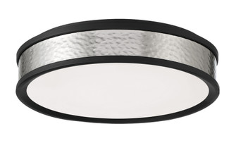 LED FLUSH MOUNT (10|717-2-691-L)