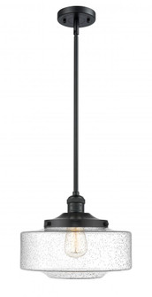 Bridgeton - 1 Light - 12 inch - Matte Black - Stem Hung - Mini Pendant (3442|201S-BK-G694-12)