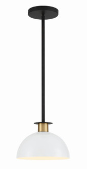 Gigi 10'' Black + Aged Brass Pendant (205|GIG-813-BK-AG)