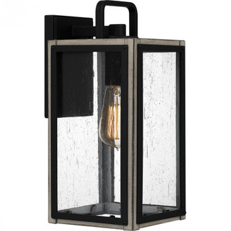 Bramshaw 1-Light Matte Black Outdoor Wall Lantern (26|BRAM8406MBK)