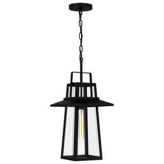 Devonport 1-Light Matte Black Outdoor Hanging Lantern (26|DEV1910MBK)