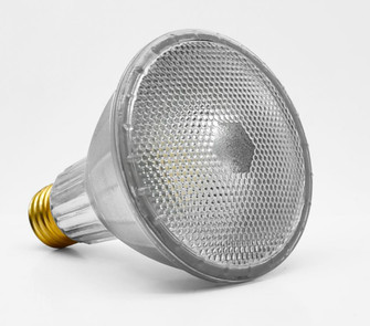 4.61'' M.O.L. Clear LED PAR30, E26, 13W, Dimmable, 3000K (20|9676)