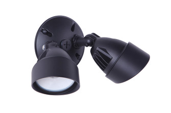 2 Light Outdoor LED Flood in Bronze (20|Z422-BZ-LED)