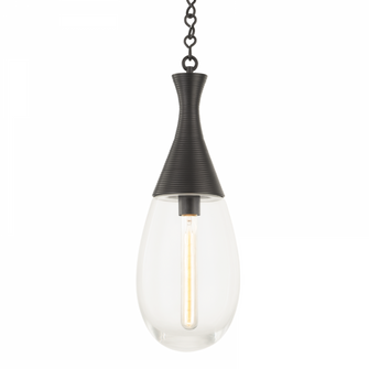 1 LIGHT PENDANT (57|3938-BBR)