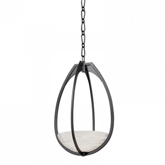 Lloyd Pendant (57|4313-BLNK)