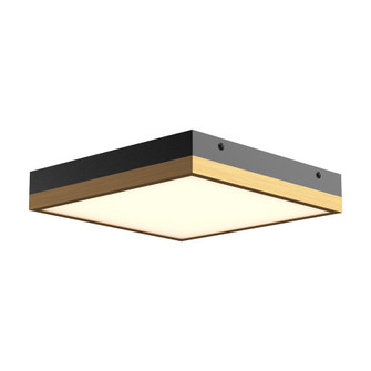 Sydney 11-in Aged Gold/Matte Black LED Flush Mount (7713|FM553211AGMB)