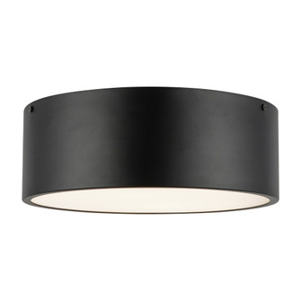 Brisbane 12-in Matte Black 2 Lights Flush Mount (7713|FM556012MB)