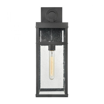 Dalton 19.5'' High 1-Light Outdoor Sconce - Textured Black (91|69702/1)