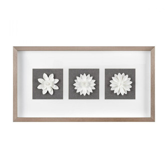 Floral Shadow Framed Wall Art (91|S0056-9833)