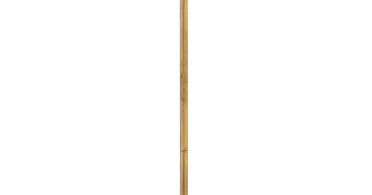 12'' Accessory Stem (87|6060BNG)