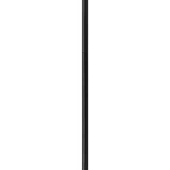 12'' Accessory Stem (87|6066BK)