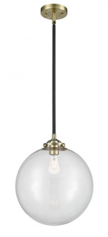 Beacon - 1 Light - 12 inch - Black Antique Brass - Stem hung - Mini Pendant (3442|284-1S-BAB-G202-12)