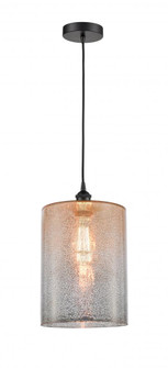 Cobbleskill - 1 Light - 9 inch - Matte Black - Cord hung - Mini Pendant (3442|616-1P-BK-G116-L)