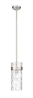 1 Light Pendant (276|3035P6-BN)