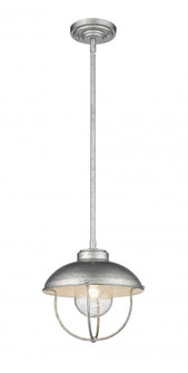 1 Light Outdoor Pendant (276|590P-GV)