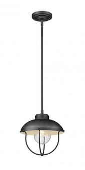 1 Light Outdoor Pendant (276|590P-BK)