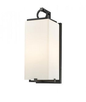 1 Light Outdoor Wall Light (276|593M-BK)