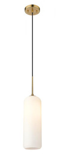 1 Light Pendant (276|732P22-HBR)