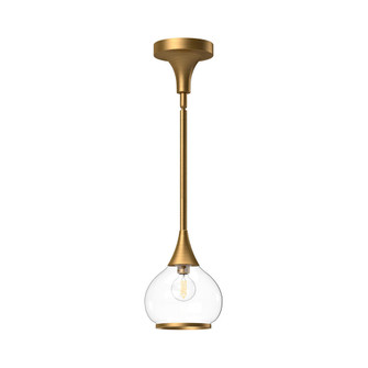 Hazel 6-in Aged Gold/Clear Glass 1 Light Pendant (7713|PD524006AGCL)