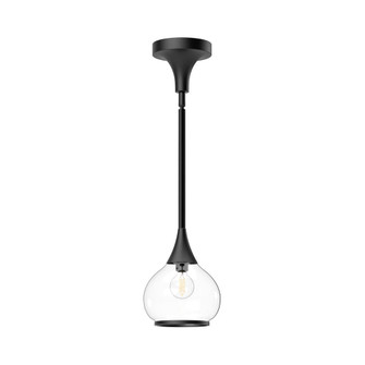 Hazel 6-in Clear Glass/Matte Black 1 Light Pendant (7713|PD524006MBCL)