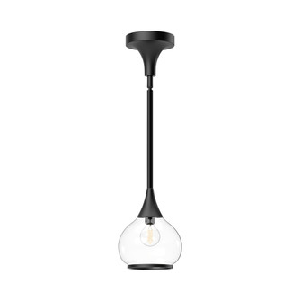 Hazel 6-in Clear Glass/Matte Black 1 Light Socket Pendant (7713|PD524006MBCL)