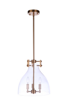 3 Light Pendant (20|55893-SB)