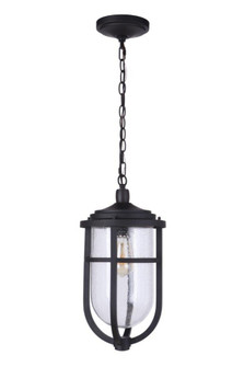 Voyage 1 Light Outdoor Pendant in Midnight (20|ZA4721-MN)