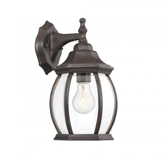 1-Light Outdoor Wall Lantern in Rustic Bronze (8483|M50053RB)