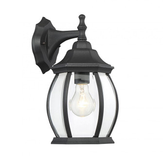 1-Light Outdoor Wall Lantern in Black (8483|M50053BK)