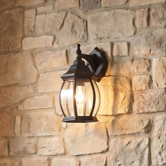 1-Light Outdoor Wall Lantern in Black (8483|M50053BK)