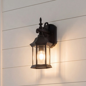 1-Light Outdoor Wall Lantern in Black (8483|M50056BK)