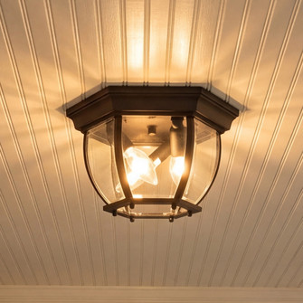 3-Light Outdoor Ceiling Light in Black (8483|M50059BK)