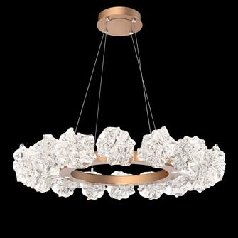 Blossom Radial Ring Chandelier - 36 (1289|CHB0059-36-BS-BC-CA1-L1)