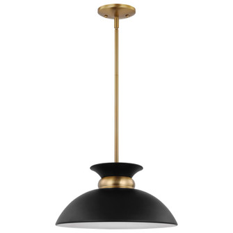 Perkins; 1 Light; Small Pendant; Matte Black with Burnished Brass (81|60/7460)