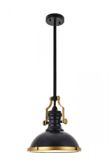 Eamon 1 Light matte black Pendant (758|LD5001D13BRB)