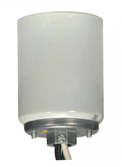 Mogul lamp socket; Porclean; Glazed finish; 1/4 Cap with 20in. leads (27|80/1449)